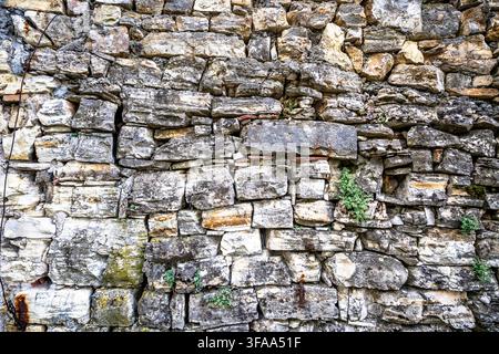 Close frontal view of an old wall built from irregular natural stones, showing varied shapes, rough surfaces, mortar joints and small plants growing b Stock Photo