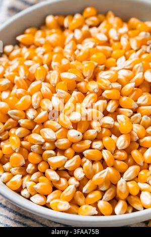 Dry Organic Raw Pop Corn Kernels in a Bowl Stock Photo
