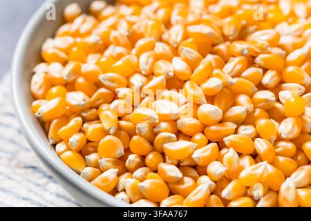 Dry Organic Raw Pop Corn Kernels in a Bowl Stock Photo