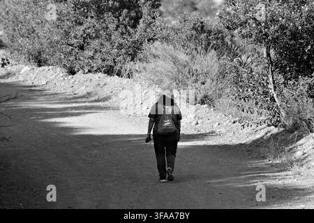 Person walks alone on dusty trail through sunlit forest. Backpack suggests outdoor adventure or hiking. Shadow stretches long on warm earth path. Idea Stock Photo