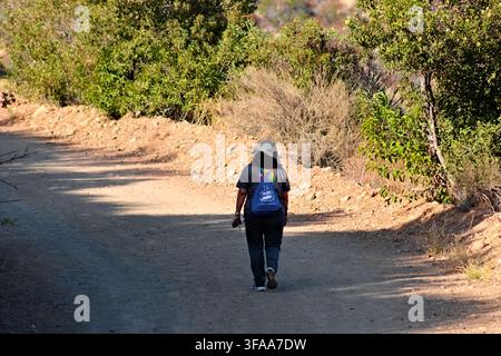 Person walks alone on dusty trail through sunlit forest. Backpack suggests outdoor adventure or hiking. Shadow stretches long on warm earth path. Idea Stock Photo