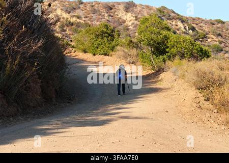 Person walks alone on dusty trail through sunlit forest. Backpack suggests outdoor adventure or hiking. Shadow stretches long on warm earth path. Idea Stock Photo
