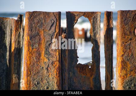 Rusty corrugated metal sheet featuring dramatic holes and weathered textures stands on a beach with blurred ocean waves in the background, ideal for c Stock Photo