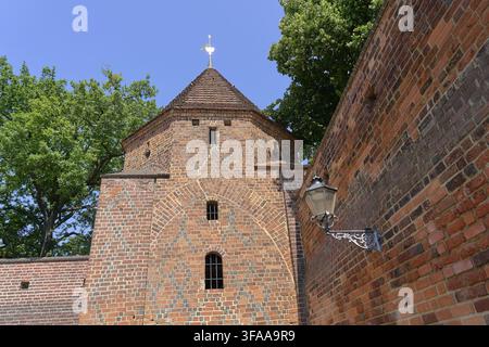 Medieval fortification and historic city fortifications in the Cottbus city center, the massive red brick defensive defence tower in Gothic architectu Stock Photo