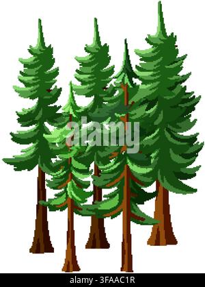 A cluster of stylized evergreen pine trees with green needles on a white background. Stock Vector