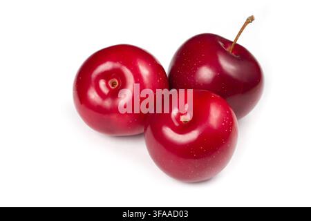 Three plums on a white background. Natural ripe plums close-up. Stock Photo