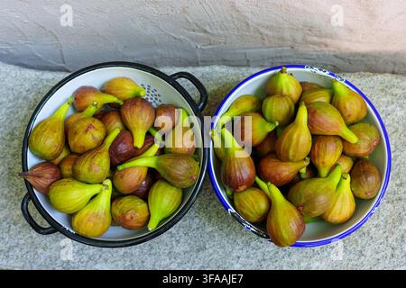 Freshly harvested green and purple figs overflow from two vintage enamel bowls placed on a textured grey stone surface, capturing the essence of organ Stock Photo