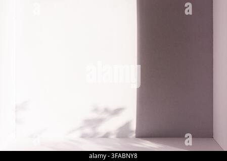 A clean, minimalist corner box structure featuring soft leaf shadow patterns and dramatic side lighting, elegant abstract background with ample copy s Stock Photo