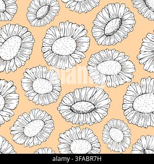 Pattern of sketching daisies. Black and white chamomile buds on orange background. Summer pattern of wild flowers heads Stock Vector