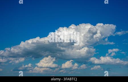 Dramatic low-angle shot of a large, fluffy cumulus congestus cloud developing vertically against a brilliant blue sky on a bright, sunny day, perfect Stock Photo