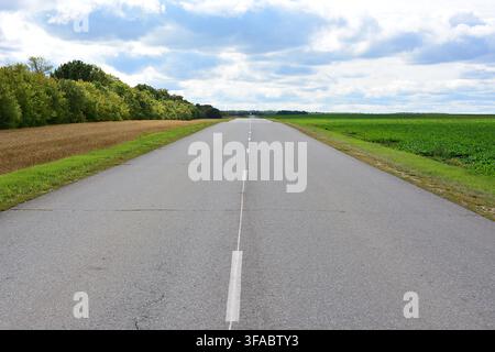 Long Straight Road Through Green Fields Under Cloudy Sky copy space Stock Photo