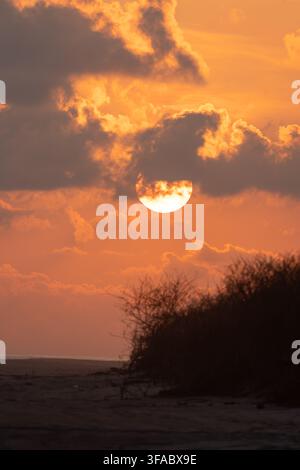 Setting sun glowing brightly behind dark clouds over a beach with silhouetted vegetation Stock Photo
