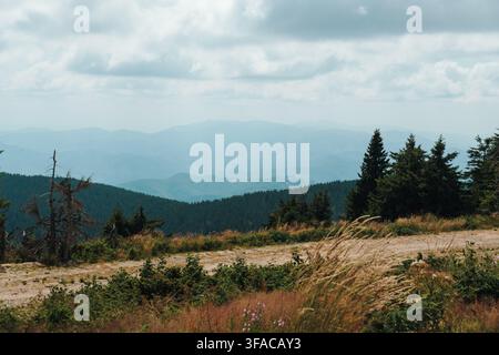 Layered mountain ridges fade into haze beneath summer clouds in Kopaonik, Serbia. The panorama suits travel, tourism, nature and outdoor recreation Stock Photo