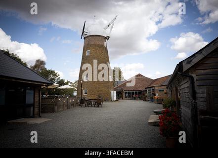Wymondham Windmill 19h August 2026: Vistors enjoy clooler dark rain clouds  and sunshine in the historic 210-year  Cliff of the windmill insects move around the flowers in the grounds Norton Ģ����ý Live News Stock Photo
