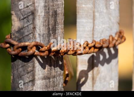 An old heavy-duty, rusty chain wrapped securely around a rustic wooden fence gate with a smooth background Stock Photo