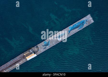 Aerial view of Busselton Jetty featuring artistic whale murals painted on the wooden planks, extending into the deep blue waters of the Indian Ocean i Stock Photo