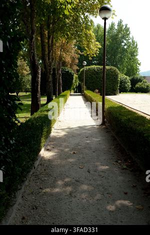 Gravel park path lined with green hedges and trees under summer sunlight in portugal Stock Photo