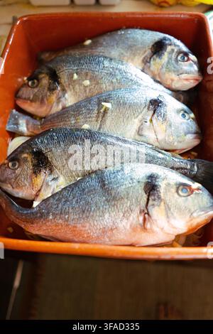 Fresh whole sea bream in a baking dish, preparing for cooking with garlic and herbs Stock Photo