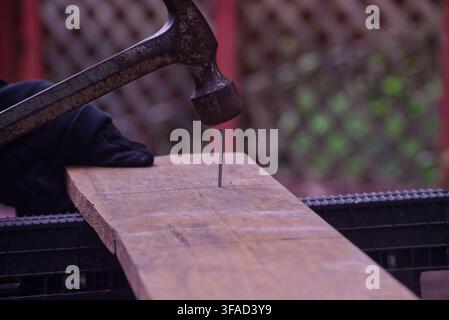 Close-up side view of a person using a claw hammer to drive a nail into a wooden board supported on sawhorses, illustrating carpentry, woodworking, an Stock Photo