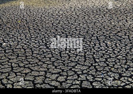 Dry cracked earth from the dried up pond the Crammer Devizes forming polygonal patterns on parched soil Stock Photo