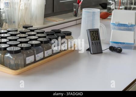Rows of labeled sample bottles containing water on tray in laboratory. digital indoor-outdoor thermometer. The scene reflects environmental testing, q Stock Photo
