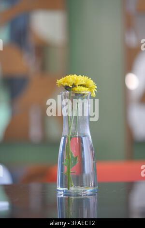 Yellow flowers in glass vase on table Stock Photo