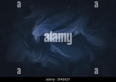 An abstract background featuring soft, flowing blue and dark hues. The design creates a sense of depth and movement, ideal for various creative projec Stock Photo