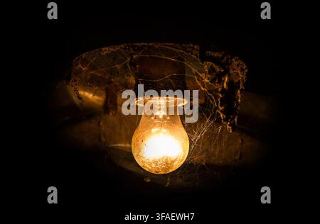 Yellow antique incandescent lamp in the web. Glowing yellow light bulb on a black background. Stock Photo
