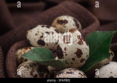 Fresh raw quail eggs in a burlap sack with green leaves on a dark wooden background Stock Photo