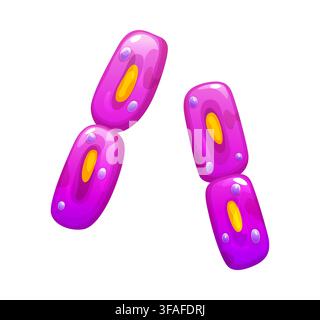Cartoon bacteria cell division protozoa Stock Vector