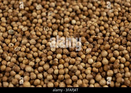 Aromatic dried coriander seeds background for culinary recipe and menu. Stock Photo