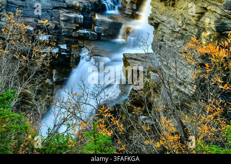 Athabasca Falls in autumn, Jasper National Park, Alberta, Canada Stock Photo