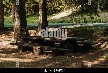 A rustic wooden picnic table stands beneath tall conifers in Kopaonik, Serbia. Outdoor seating represents recreation, rest, camping and nature tourism Stock Photo