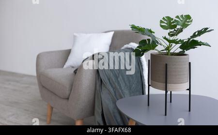 Large green plant in cozy loft interior of living room Stock Photo