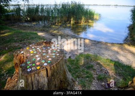 PRODUCTION - 14 August 2026, Saxony-Anhalt, Arendsee: Bottle caps are stuck in a tree stump on the shore of Lake Arend. It will remain hot and dry in Saxony-Anhalt this weekend. Meteorologists predict that it won't get noticeably cooler until the start of next week. Photo: Klaus-Dietmar Gabbert/dpa Stock Photo
