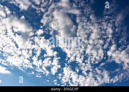 Fluffy white altocumulus clouds drifting across a deep blue summer sky, capturing a breezy atmosphere and clear weather vibes during a bright and sunn Stock Photo