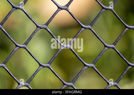 Close-up of a black plastic chain link fence against a soft blur background Stock Photo