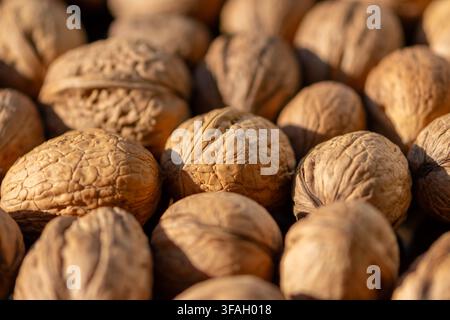 A closeup shows whole walnuts with textured shells lying together in warm light. Stock Photo