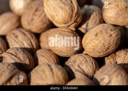 A closeup shows a pile of whole walnuts in textured brown shells. Stock Photo