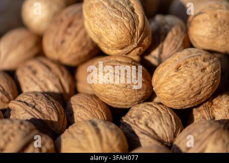 A macro view shows whole walnuts with textured shells in warm sunlight. Stock Photo