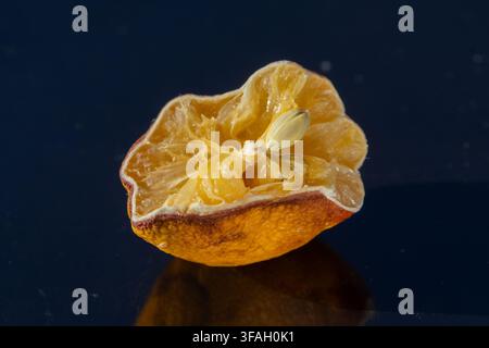 Close-up of a shriveled citrus half with a visible seed on a dark surface. Stock Photo