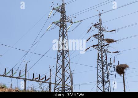 Large metal pylons supporting electrical wires are seen against a bright blue sky, with several large nests built by birds on the structures Stock Photo