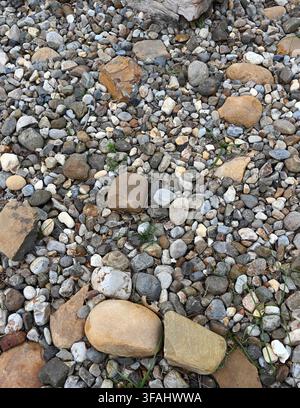 Close up vertical view of a landscape river rock bed with mixed sizes of stones from small pebbles to large, arranged stones Stock Photo