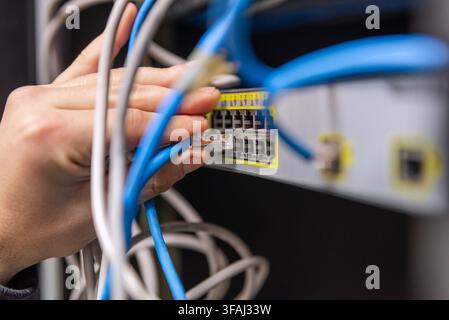Close-up of a technician's hands organizing and plugging blue and grey ethernet network cables into a network switch. Stock Photo