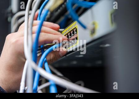 Close-up of a technician's hands organizing and plugging blue and grey ethernet network cables into a network switch. Stock Photo