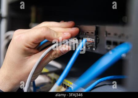 Close-up of a technician's hands organizing and plugging blue and grey ethernet network cables into a network switch. Stock Photo