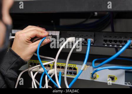 Close-up of a technician's hands organizing and plugging blue and grey ethernet network cables into a network switch. Stock Photo