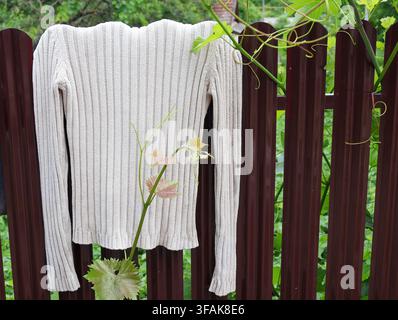 Cozy beige knitted sweater drying outdoors on garden fence. Stock Photo