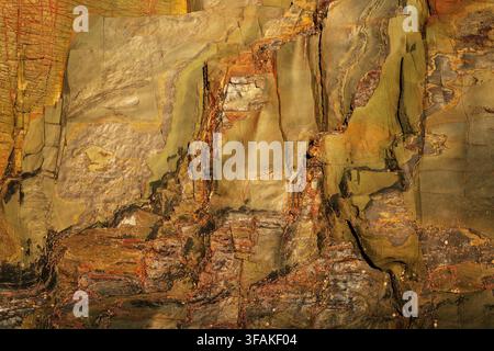 Detailed warm-toned stone surface with mineral veins and natural fractures. Organic abstract geological background texture. Stock Photo