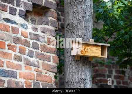 A wooden bird nesting box is attached to a tree trunk with metal brackets. Light wood grain contrasts with the rough bark and nearby brick wall. Stock Photo